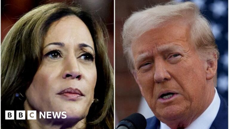 Teamsters union declines to endorse either Harris or Trump