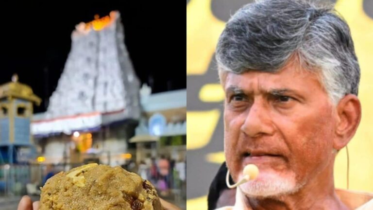 Animal Fat In Tirupati Laddu Prasadam? Karnataka Milk Federation Clarifies After Andhra CM’s Allegations