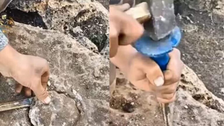 Man Breaks Rock To Look For Hidden Treasure, Here’s What Happens Next – News18