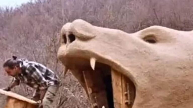 Man Builds Bear-shaped Mud House In The Wilderness, Know Why – News18